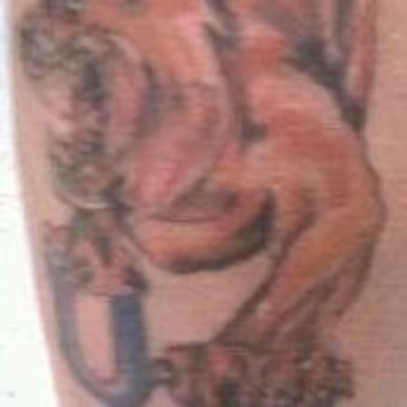 Meet your Posher, Ken - Picture 1 of 1